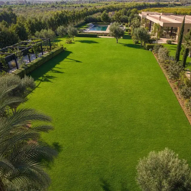 Pelouse de gazon naturel au Maroc